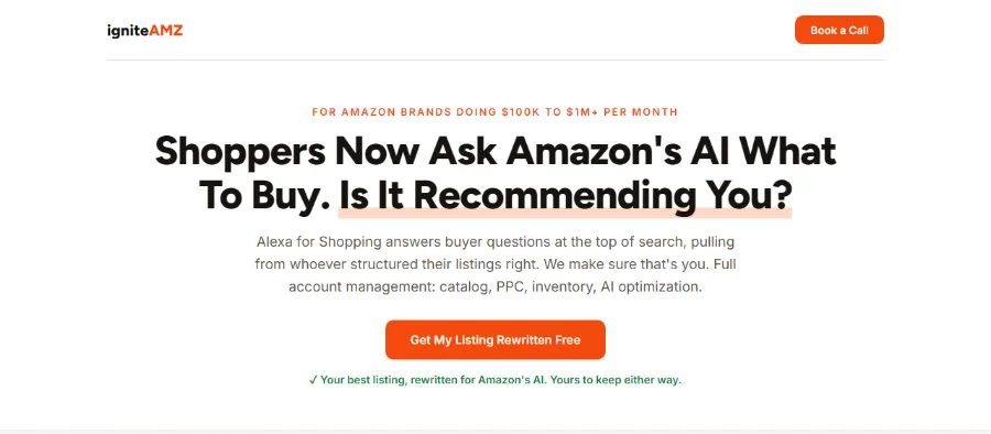 Client website (Amazon channel management agency)